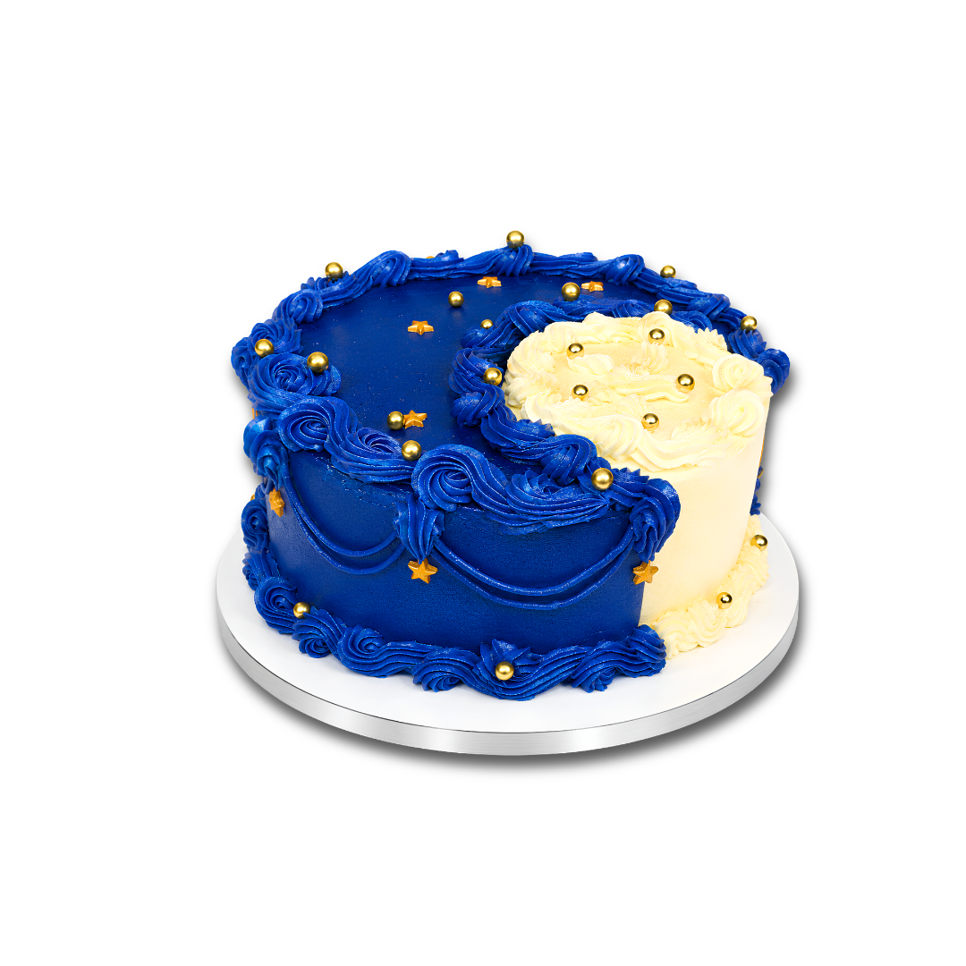STARRY NIGHT CAKE