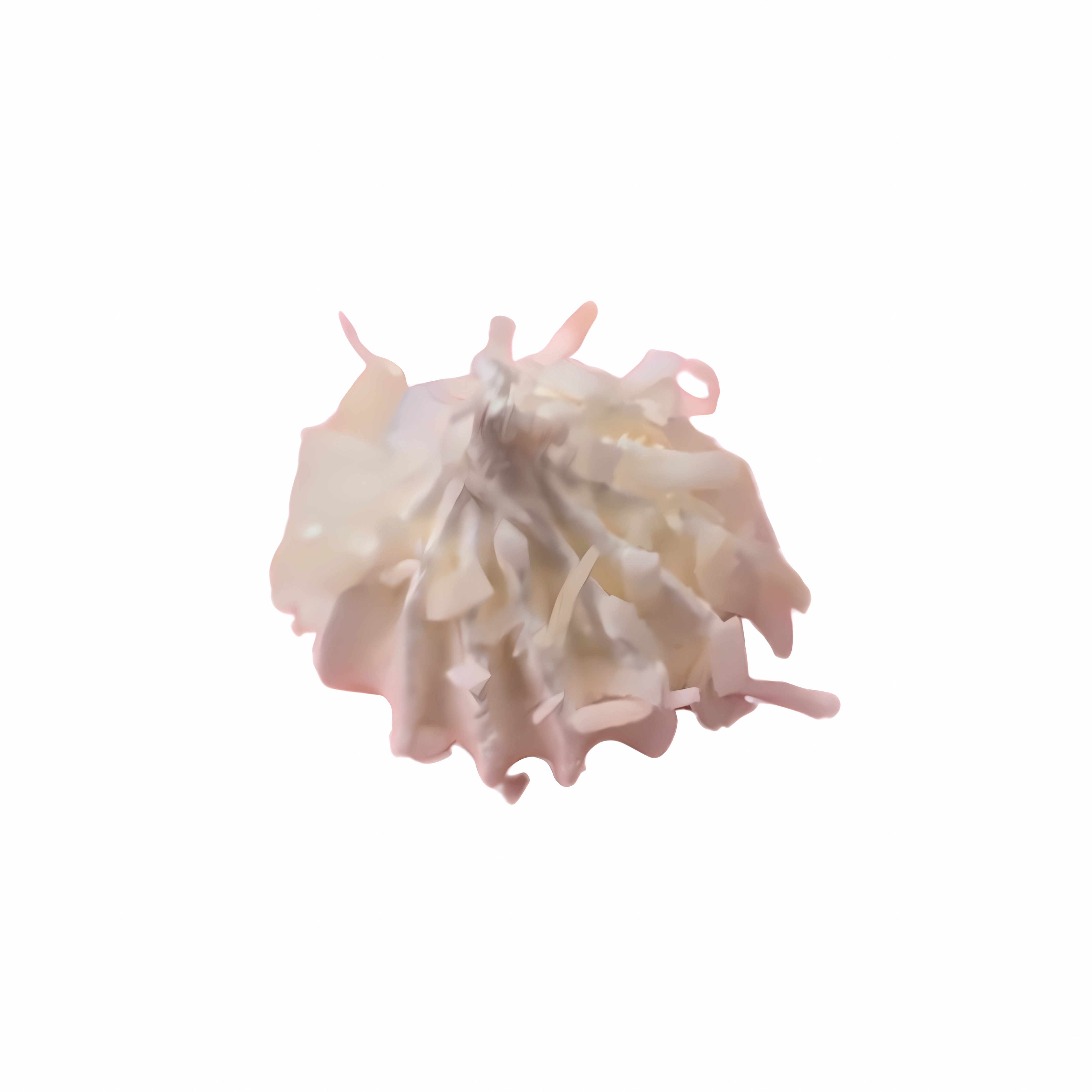 Mini Coconut Meringue