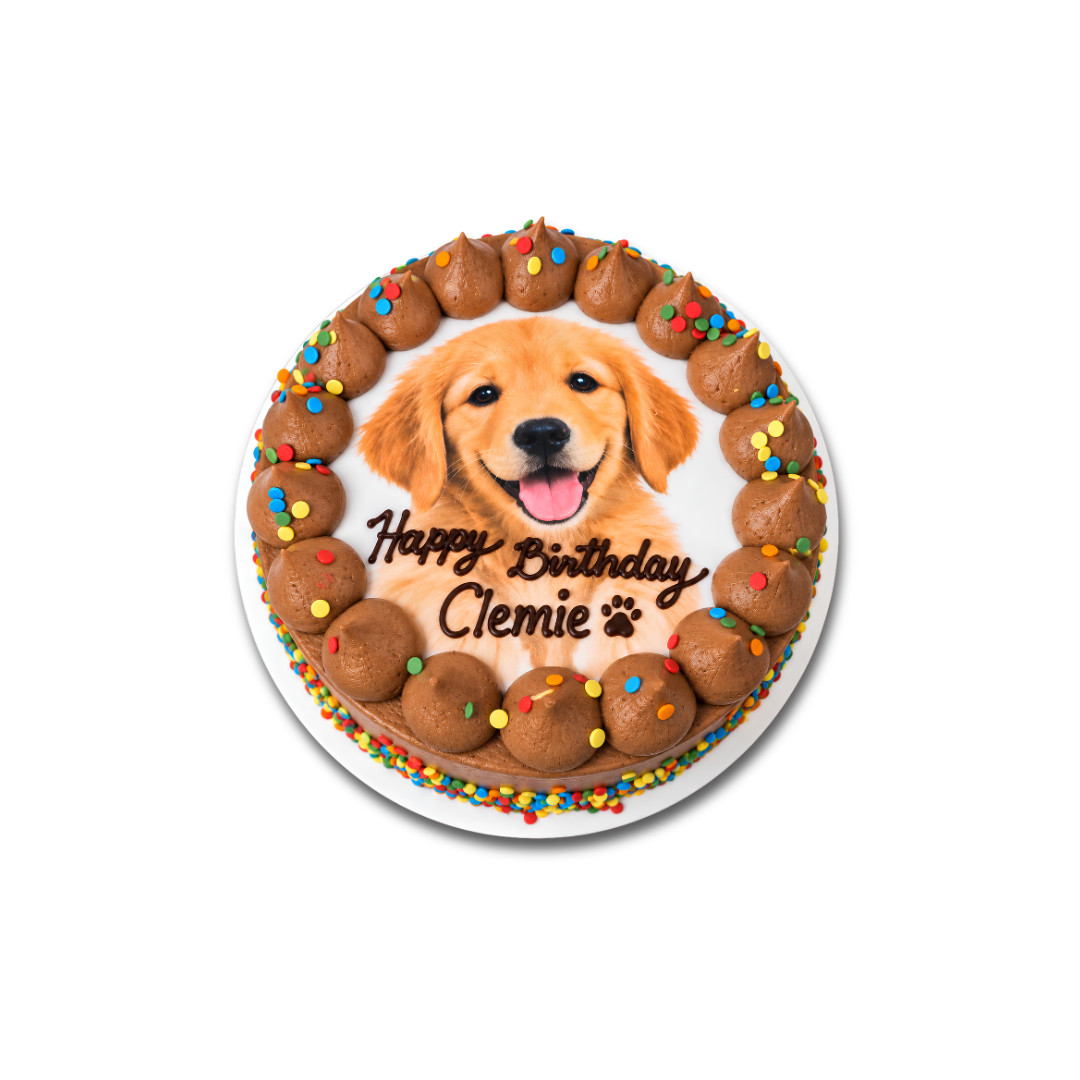 Woof Cake