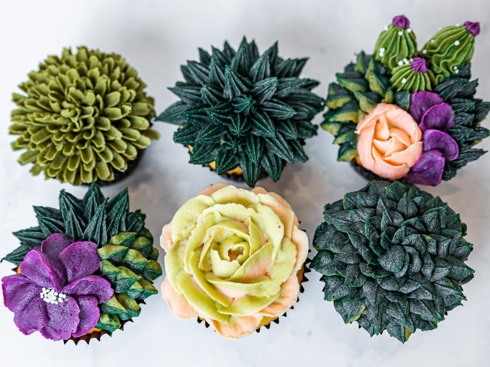 Buttercream Succulents Class