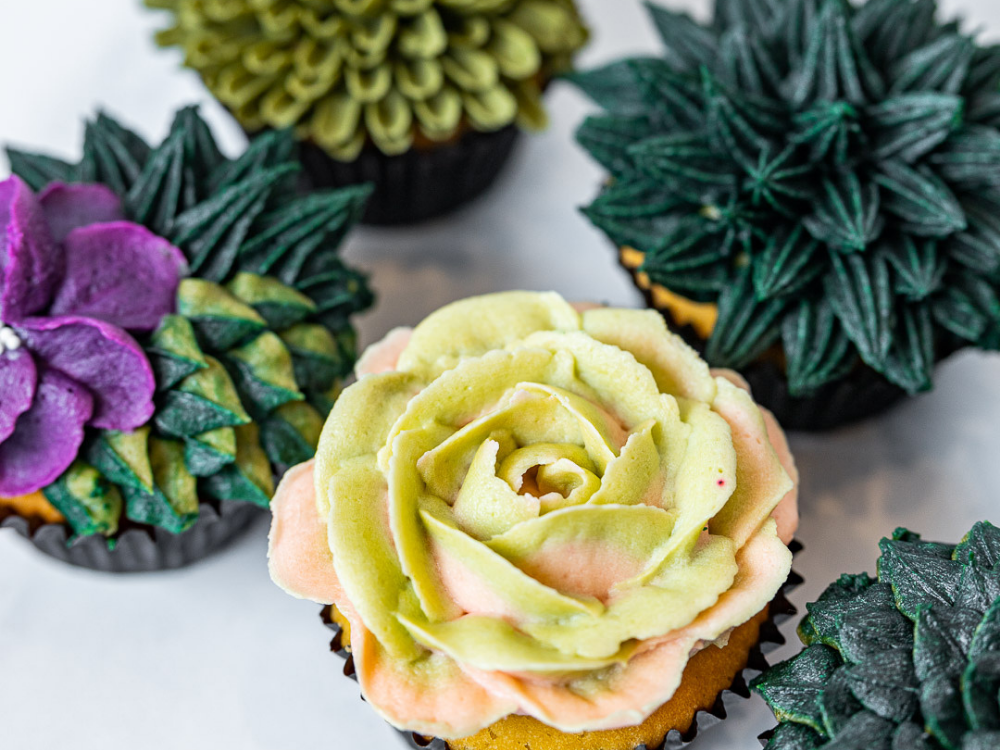 Buttercream Succulents Class